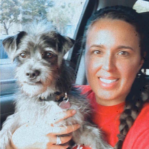 POSH SHOW notifications - Picture 5 of 9